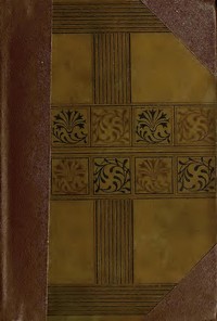 The New Abelard: A Romance, Volume 1 (of 3)