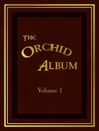 The Orchid Album, Volume 1: Comprising Coloured Figures and Descriptions of New, Rare, and Beautiful Orchidaceous Plants