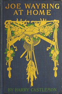 Joe Wayring at Home; or, The Adventures of a Fly-Rod