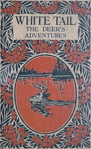 White Tail the Deer's Adventures