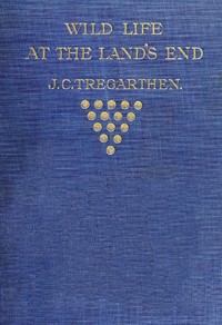 Wild Life at the Land's End: Observations of the Habits and Haunts of the Fox, Badger, Otter, Seal, Hare and of Their Pursuers in Cornwall