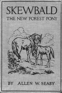 Skewbald, the New Forest Pony