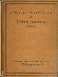 Wild Animals of North America: Intimate Studies of Big and Little Creatures of the Mammal Kingdom