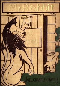 Mr. Rabbit at Home: A sequel to Little Mr. Thimblefinger and his Queer Country