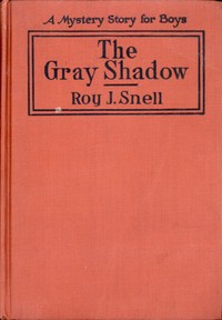 The Gray Shadow: A Mystery Story For Boys