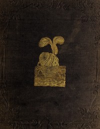 Peter Parley's Wonders of the Earth, Sea, and Sky