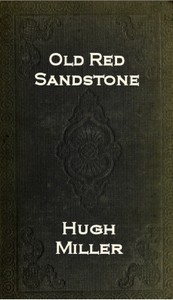 The Old Red Sandstone; or, New Walks in an Old Field