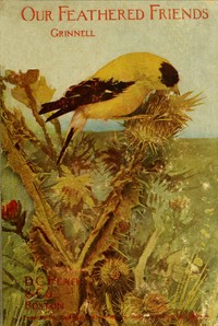 Our Feathered Friends