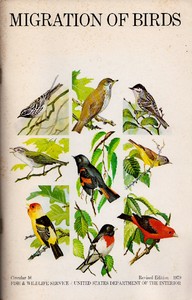 Migration of Birds (1979)