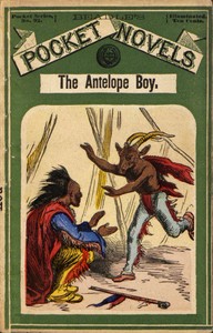 The Antelope Boy; or, Smoholler the Medicine Man: A Tale of Indian Adventure and Mystery
