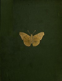 The Butterflies and Moths of Teneriffe