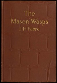 The Mason-Wasps