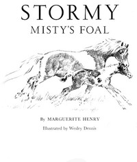Stormy, Misty's Foal