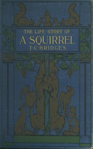 The life story of a squirrel