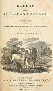 A gallop among American scenery: or, Sketches of American scenes and military adventure