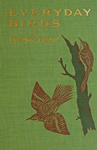 Everyday birds: Elementary studies