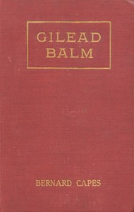 Gilead Balm, knight errant : $b His adventures in search of the truth