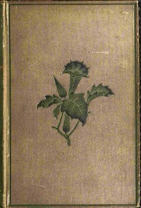 Torwood's trust : $b A novel (Vol. 2 of 3)