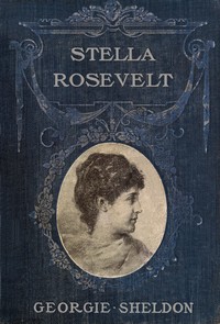 Stella Rosevelt : $b A novel