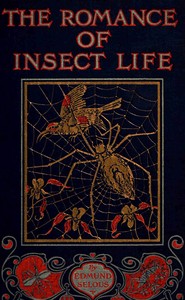 The romance of insect life : $b Interesting descriptions of the strange and curious in the insect world