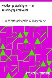 Not George Washington — an Autobiographical Novel