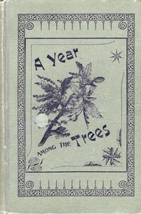 A year among the trees : $b or, the woods and by-ways of New England