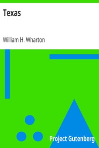 Texas: A Brief Account of the Origin, Progress and Present State of the Colonial Settlements of Texas; Together with an Exposition of the Causes which have induced the Existing War with Mexico