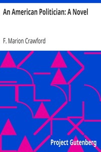 An American Politician: A Novel