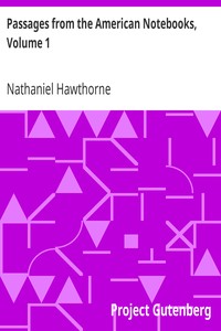 Passages from the American Notebooks, Volume 1