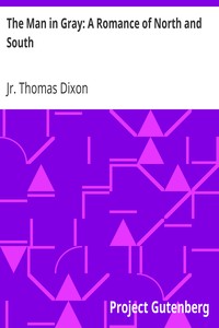 The Man in Gray: A Romance of North and South