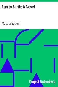 Run to Earth: A Novel