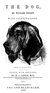 The Dog