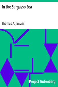 In the Sargasso Sea: A Novel